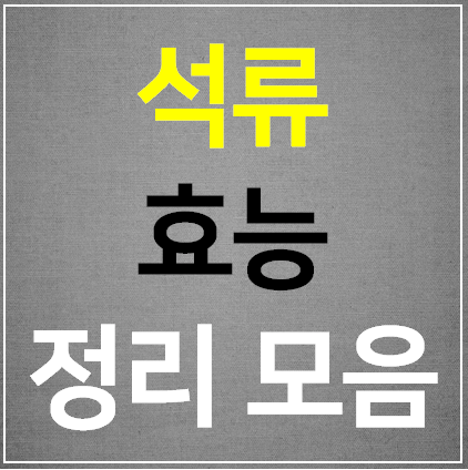 석류 효능 16가지 정리