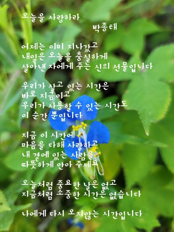  253번째 선물 - 오늘을 사랑하자.