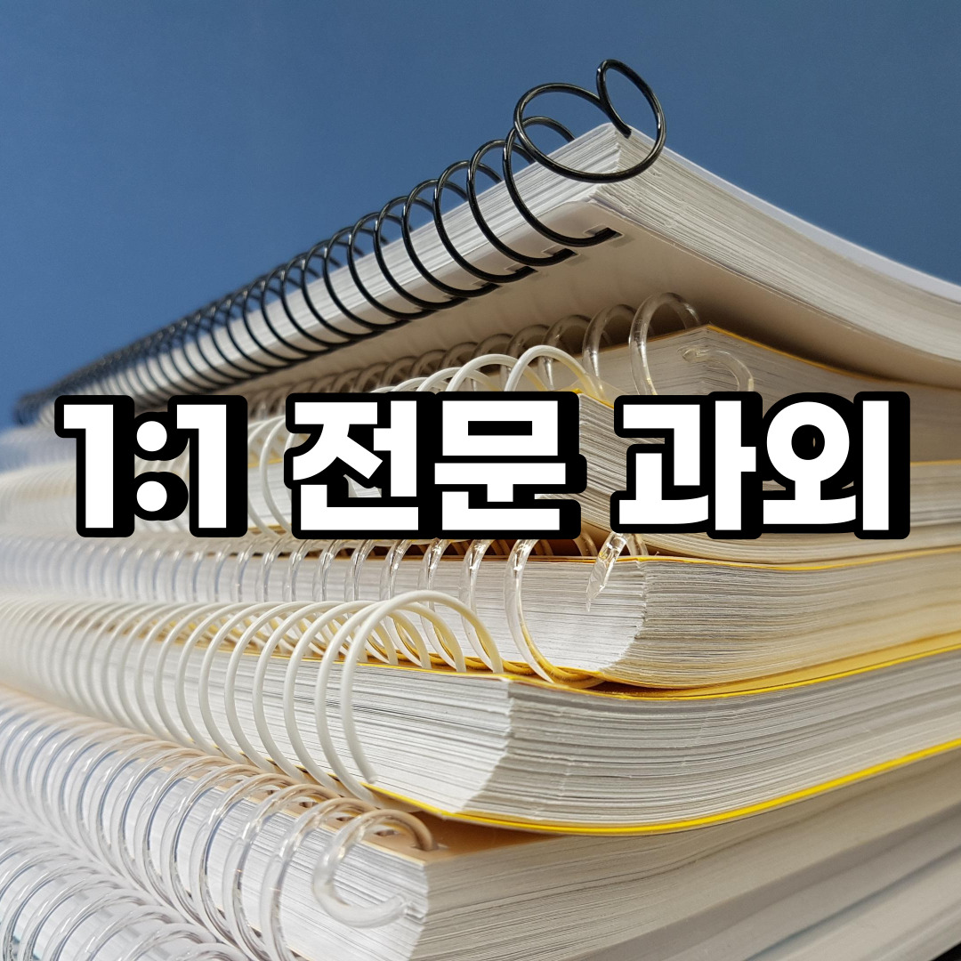  마포구 초등 영어과외 당인동 서교동 중등 고등 국어 수학과외