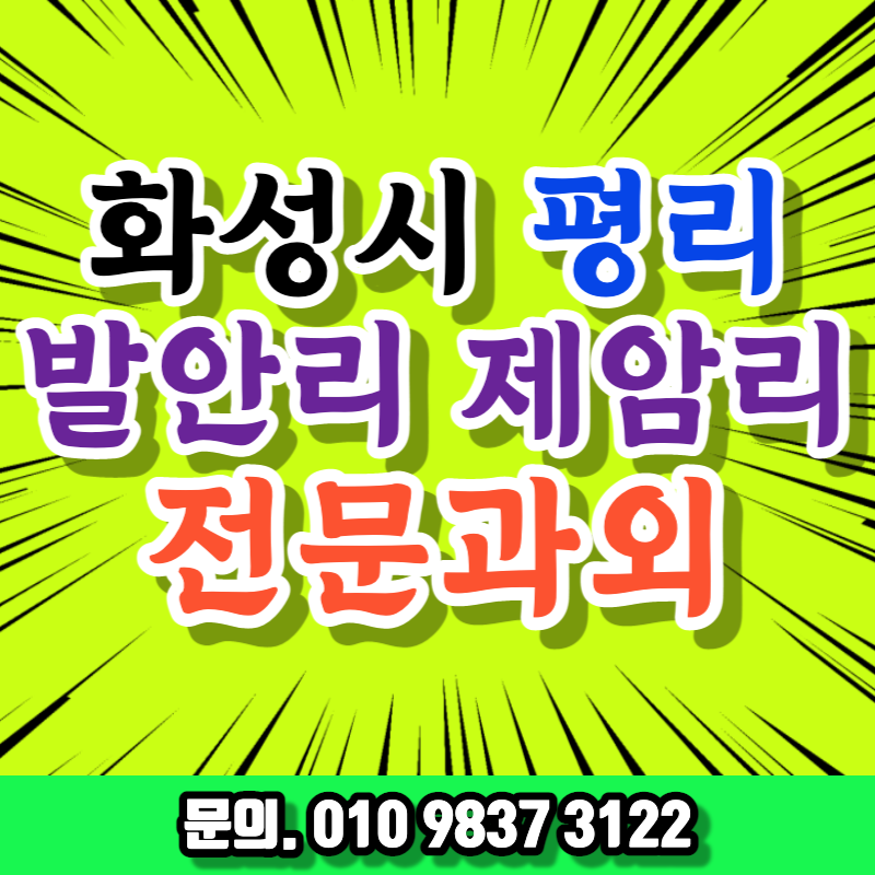  장안대학교 중국어 과외 봉담읍 근처 중등 직장인 취업준비 영어 오픽 기초일본어 비즈니스회화 고등