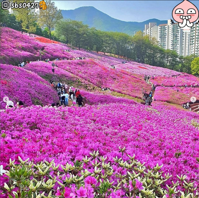  경기도 군포시 가볼만한 곳 TOP 50