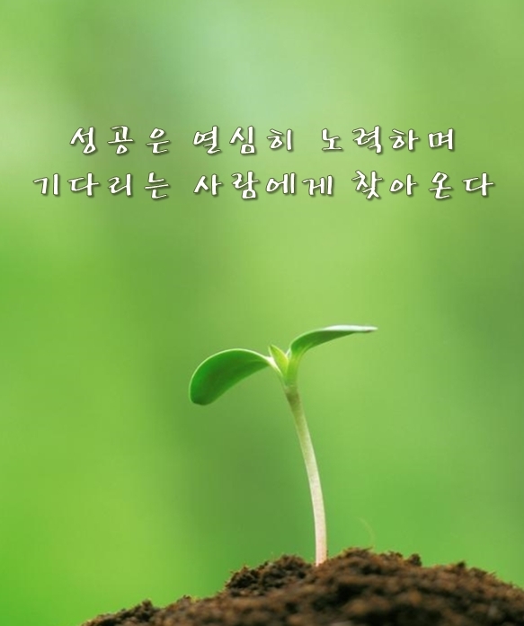  222번째 선물 - 인격의 성숙없는 성공은 사람을 망친다.