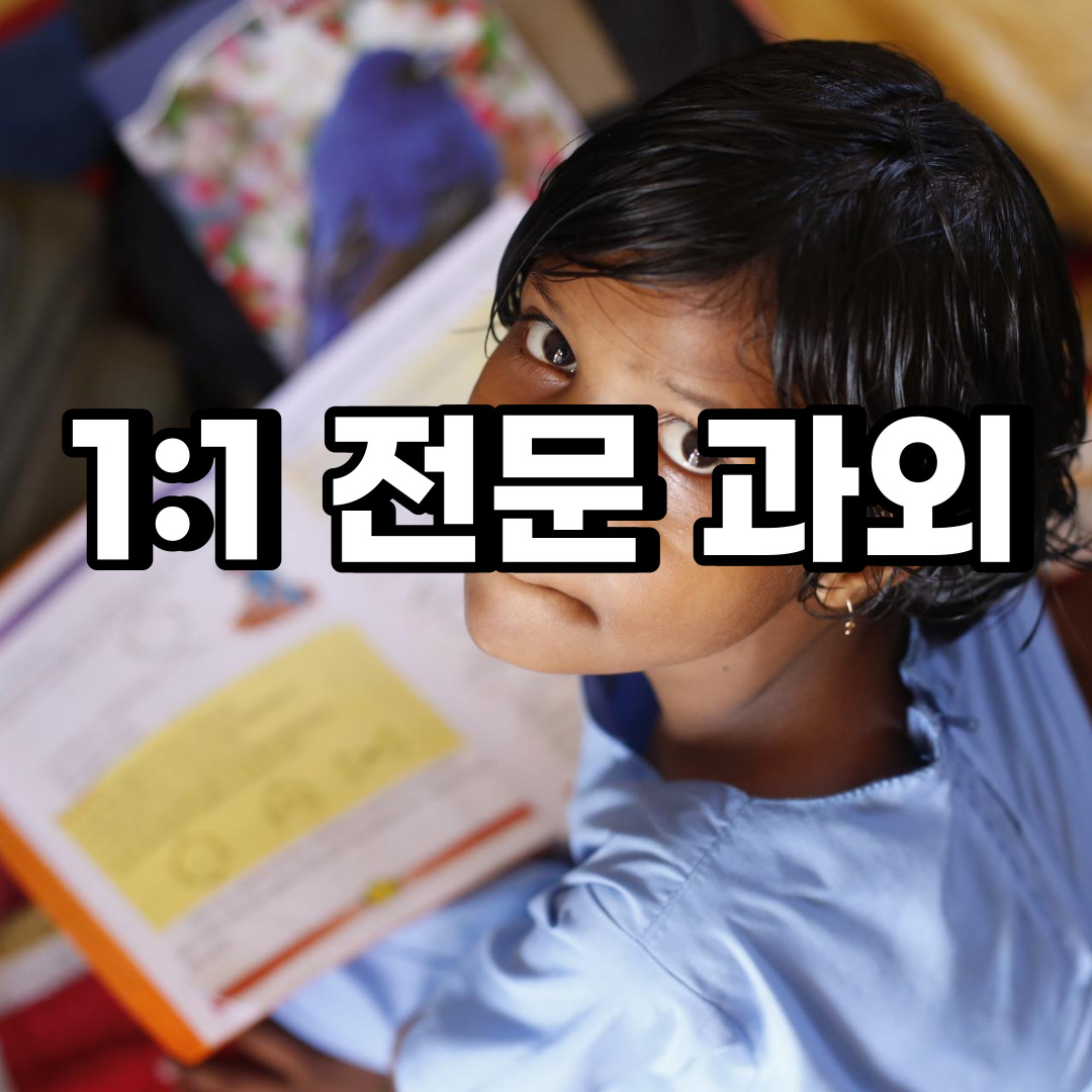 김포 초등 영어과외 풍무동 마산동 중등 고등 국어 수학과외 검정고시