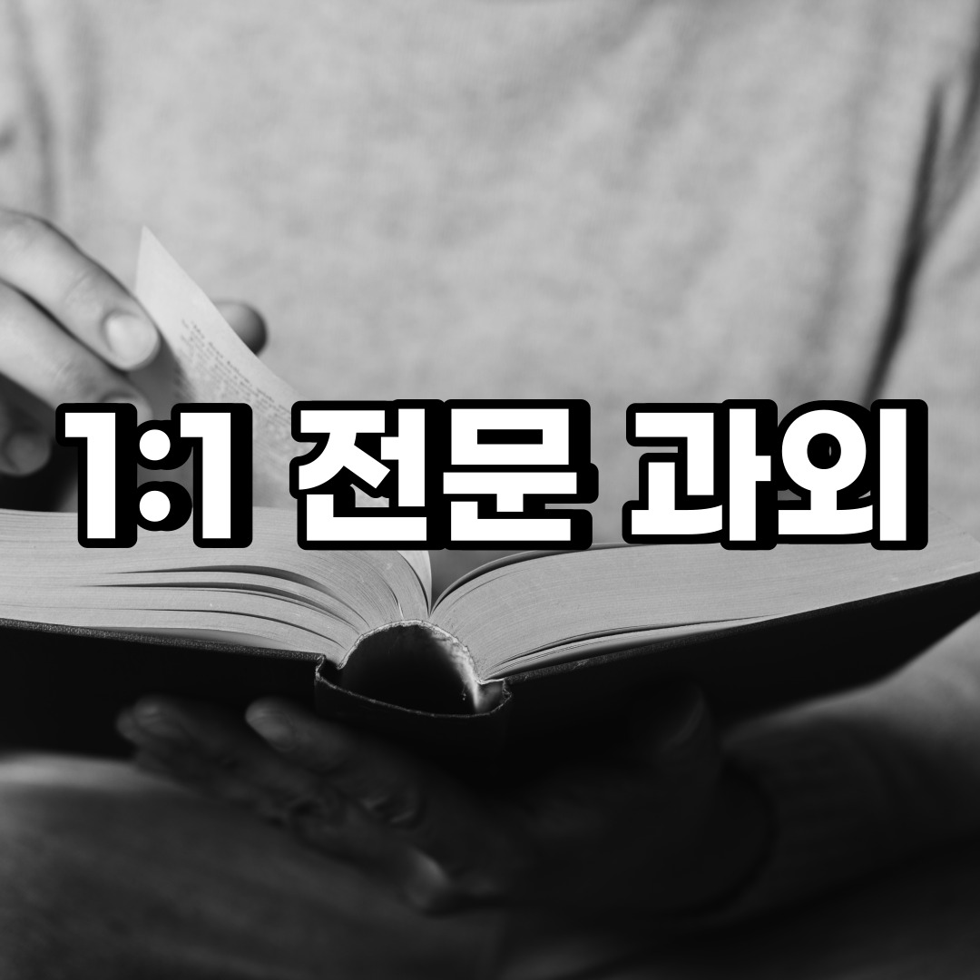  중구 초등 영어과외 태평 을지로  중학생 중등 고등 국어 수학과외