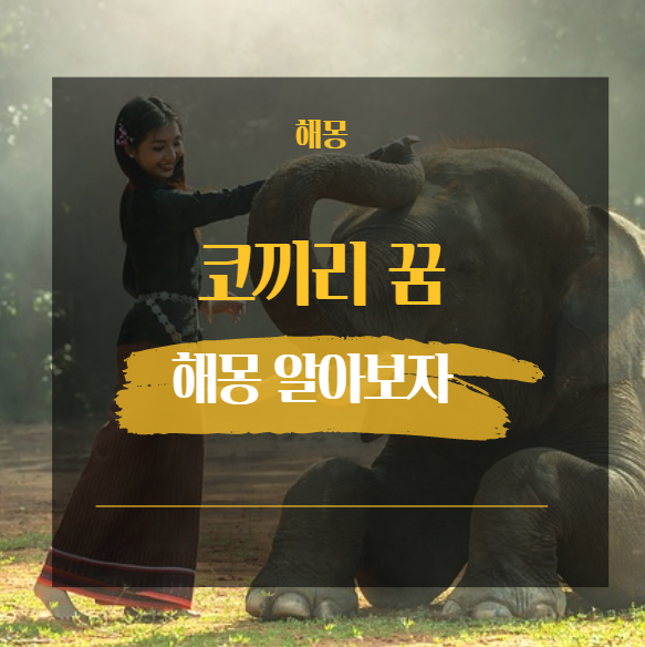  코끼리 꿈 해몽 모음