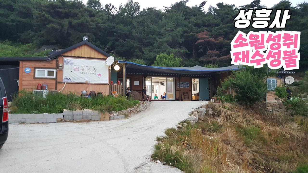  부여점집 성흥사 유명하닷! 인생은 진지한 것