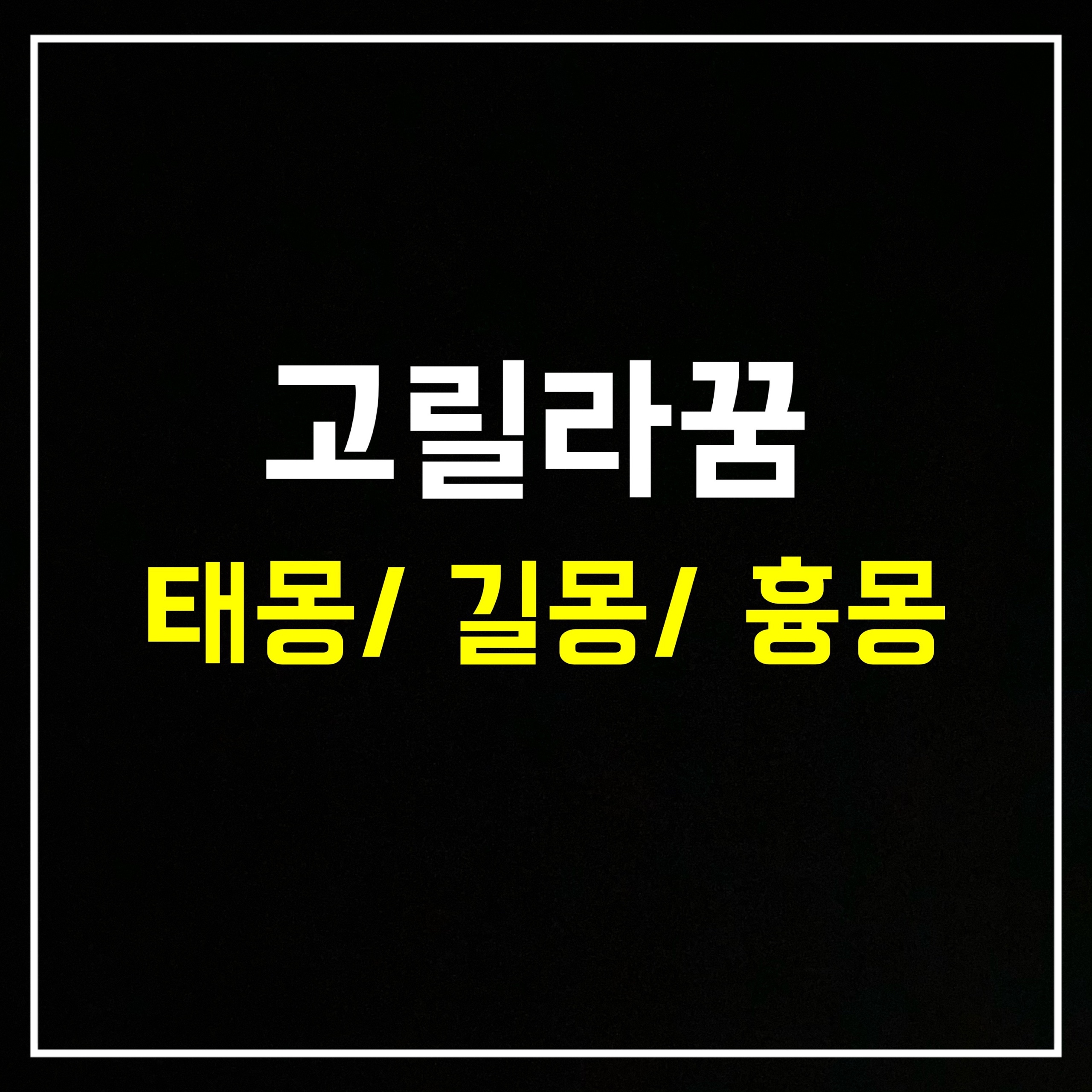  [동물꿈] 고릴라꿈은 어떤 의미일까? 태몽/길몽/흉몽 총정리