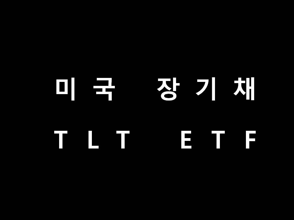  미국 장기 국채 TLT ETF (월배당)