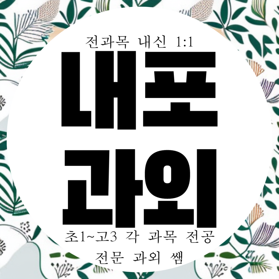  내포 수학 과외 고등 중학생 영어 과외 홍성고 내신 내포중 전문 중등 영수