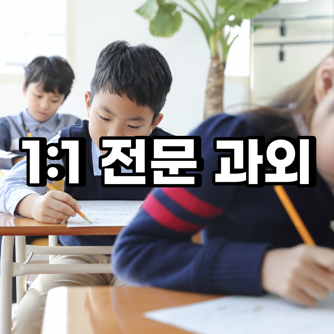  서울용산구 초등 영어과외 서계동 청파동 중학생 중등 고등 국어 수학과외