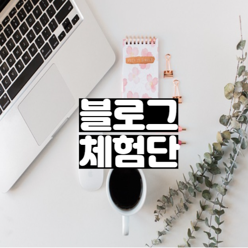  블로그 체험단에 관한 모든 것