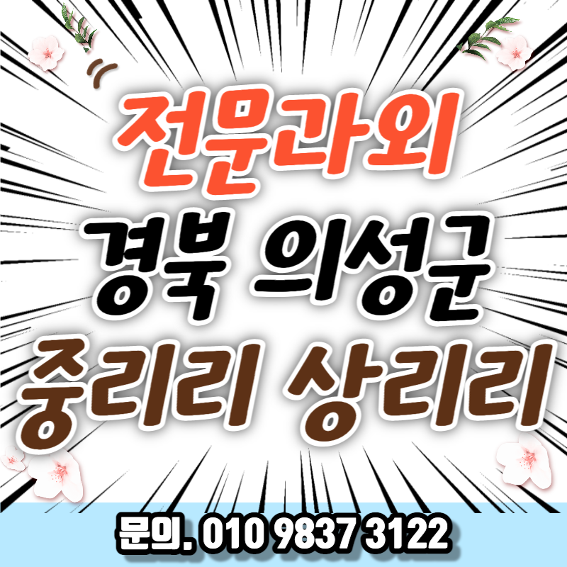  경북대 과외 의성 봉양 과학 염매시장 근처 직장인 취업준비 중국어 오픽 기초일본어 의성 고등학교 비즈니스회화