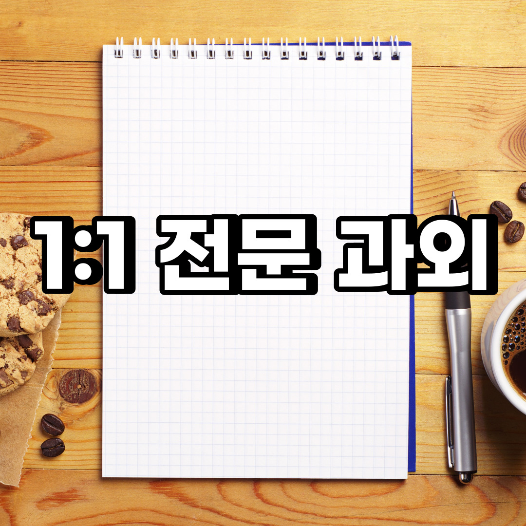  삼척 초등 영어과외 홍천 횡성 중학생 중등 고등 국어 수학과외