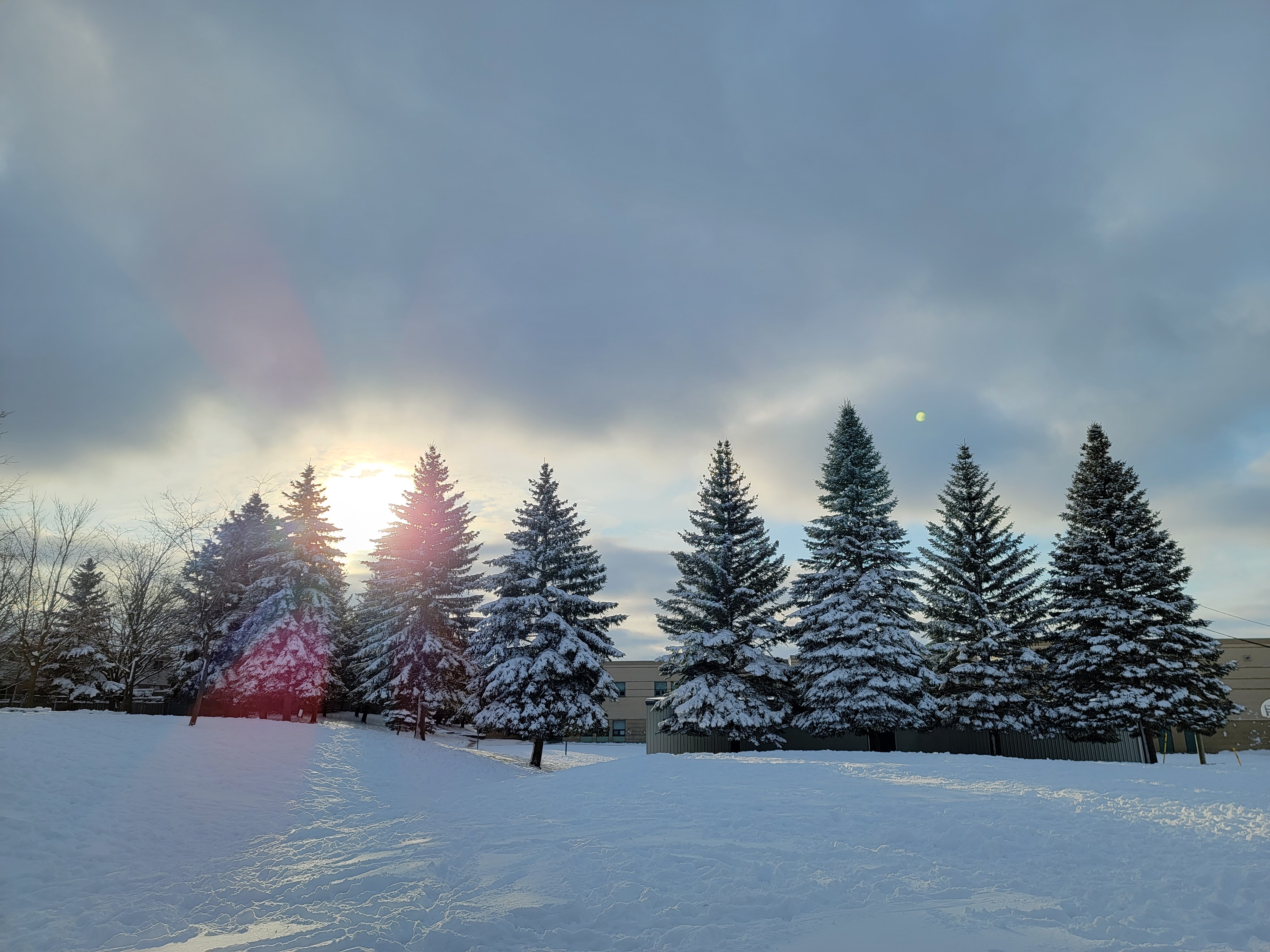눈 내린 캐나다 겨울 학교풍경
