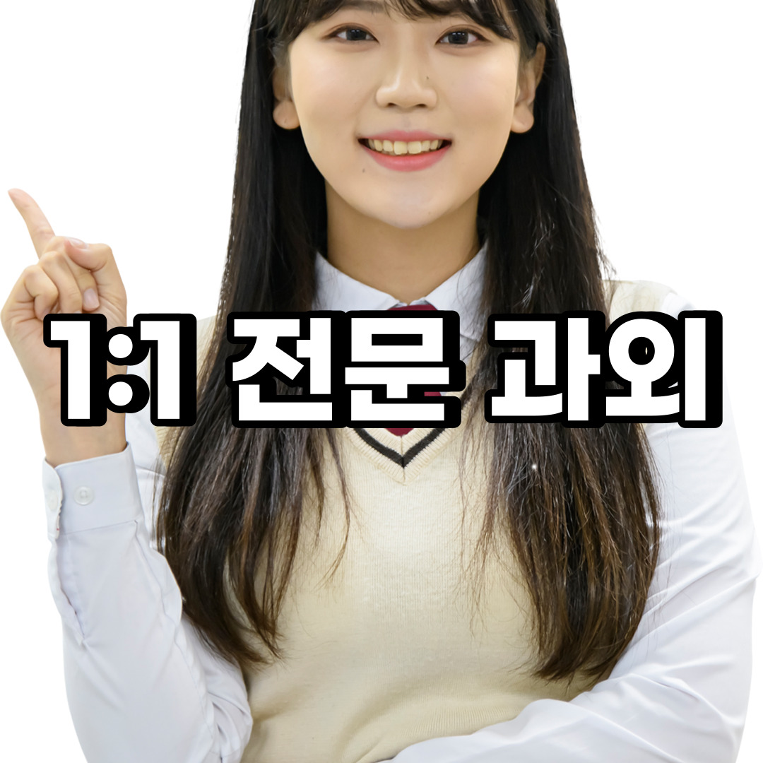 종로구 초등 영어과외 원남동 연지동 중학생 중등 고등 국어 수학과외