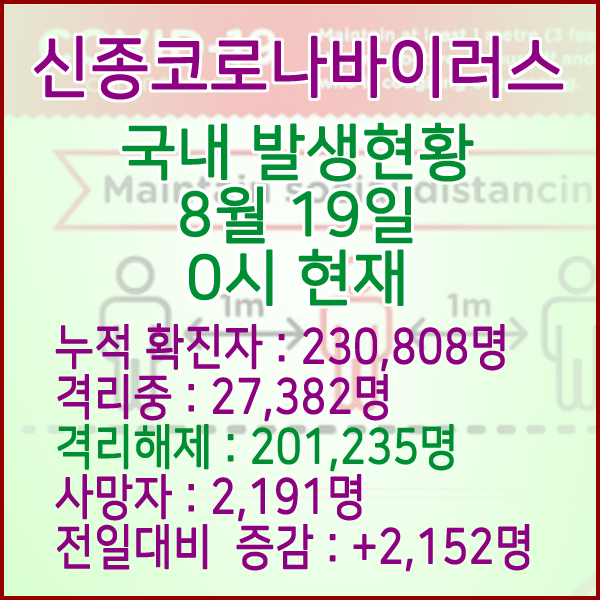  코로나19(코로나바이러스) 8월 19일 0시 국내(해외포함) 발병 230,808명 / 201,235명 완치 격리해제 / 사망자 2,191명