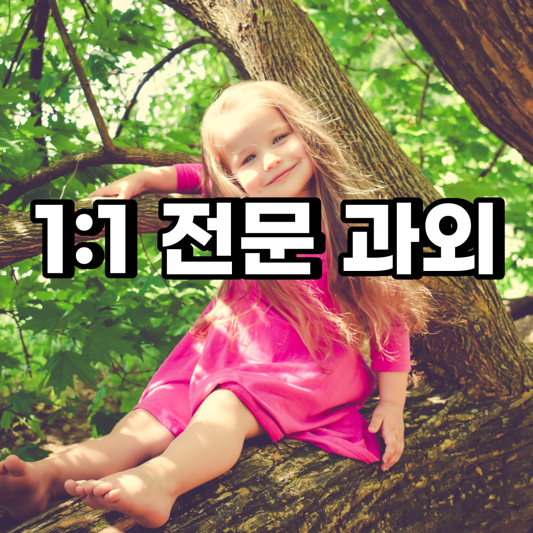  안성 초등 영어과외 구포동 동본동 중등 고등 국어 수학과외 검정고시