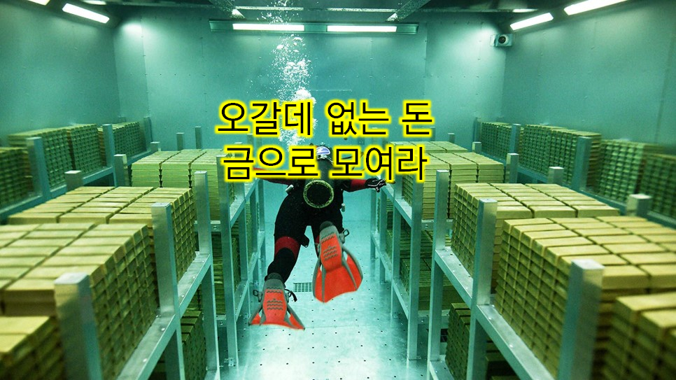  세상에서 가장 안전한 자산 금! 재태크용 골드바 모음전