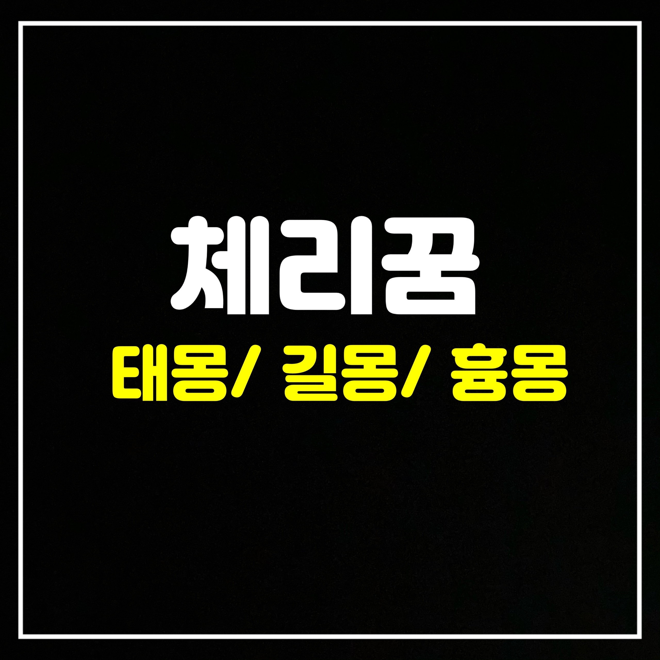  [과일꿈] 체리꿈은 어떤 의미일까? 태몽/길몽/흉몽 총정리