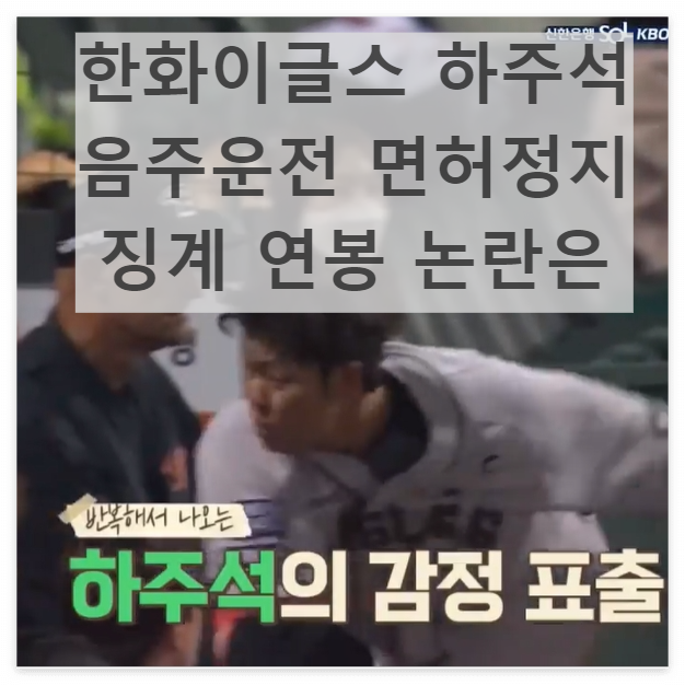 한화이글스 하주석선수 음주운전 면허정지 징계 연봉 논란은