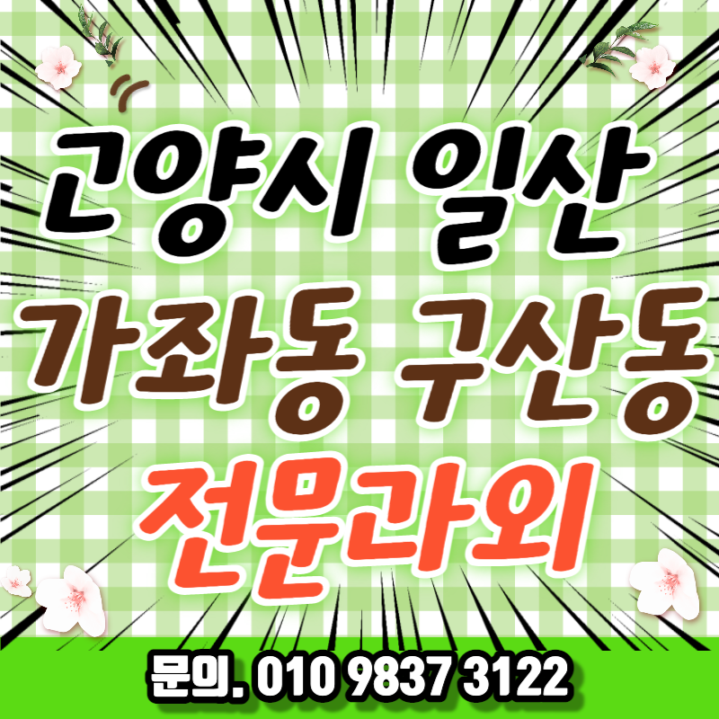  고양시 일산 대화고 국어과외 신일중2 과학 대비 탄현역근처 사탐 내신과외