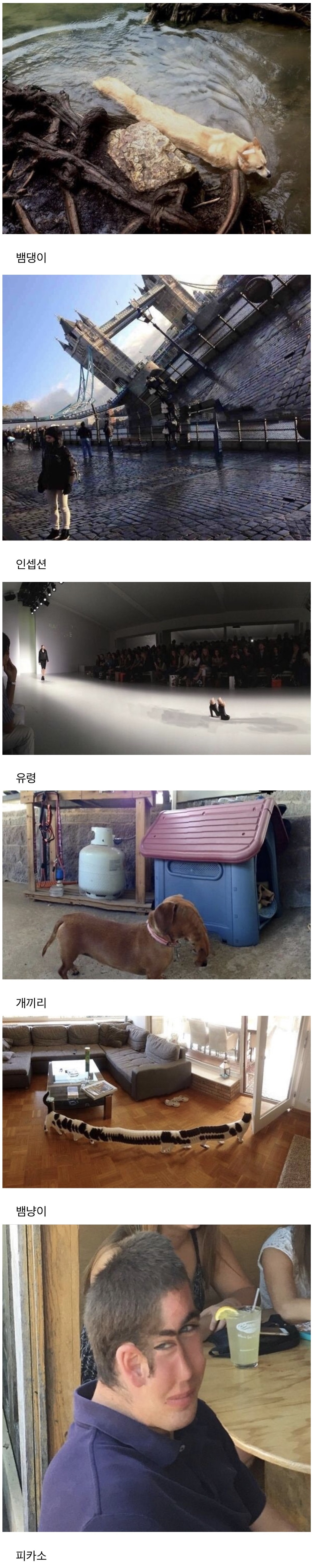  실패한 파라노마 사진들