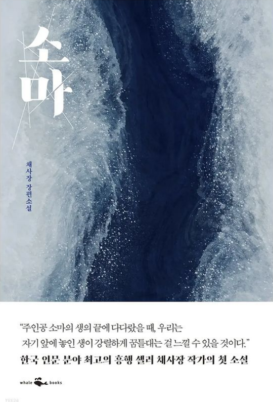  [책요약] 소마 - 채사장