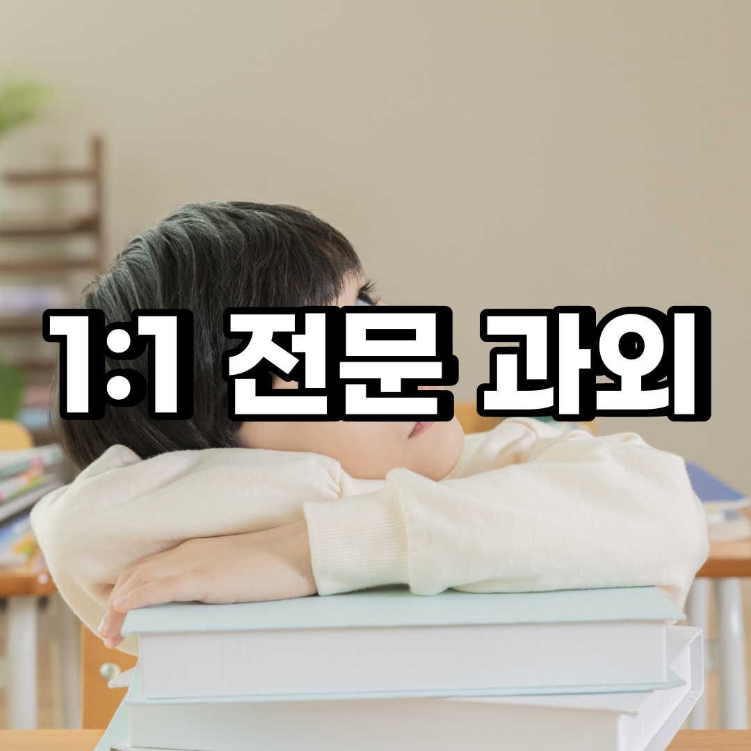  동작구 초등 영어과외 본동 흑석동 중등 고등 국어 수학과외