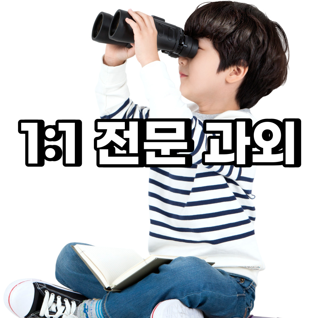  평택 초등 영어과외 비전동 동삭동 중등 고등 국어 수학과외 검정고시