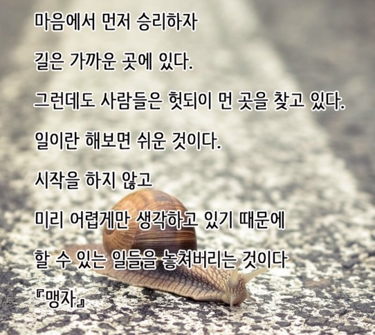  357번째 선물 - 마음에서 먼저 승리하자.