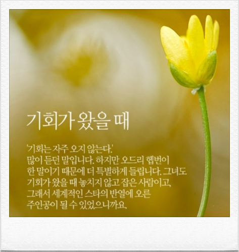  247번째 선물 - 기회가 당신 옆을 지나치고 있다.