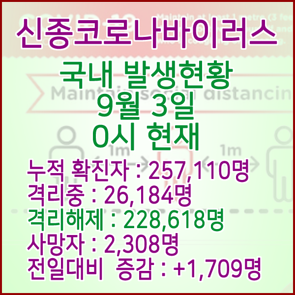  코로나19(코로나바이러스) 9월 3일 0시 국내(해외포함) 발병 257,110명 / 228,618명 완치 격리해제 / 사망자 2,308명