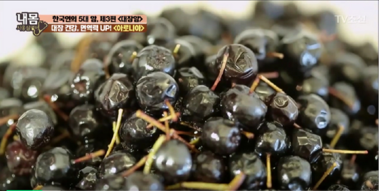  아로니아 효능