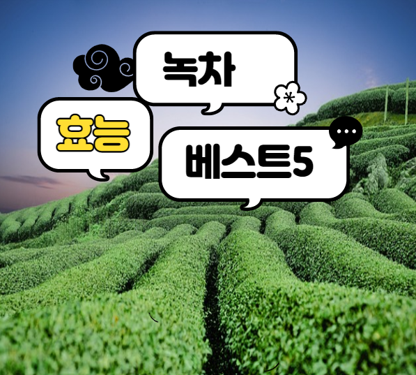  여드름에도 효과가 있는 녹차의 효능 Best5 알아보기!