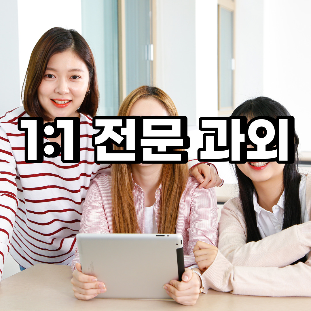  시흥 초등 영어과외 화정동 능곡동 중등 고등 국어 수학과외 검정고시