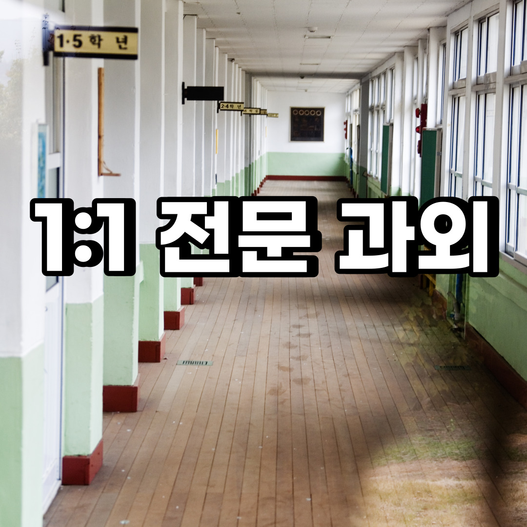  송파구 초등 영어과외 잠실 신천동 중등 고등 국어 수학과외 검정고시
