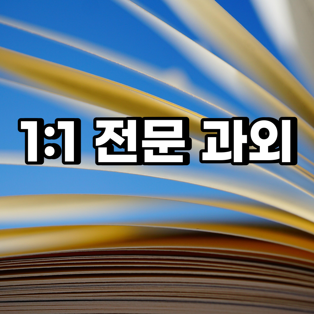  분당구 초등 영어과외 이매동 야탑동 중등 고등 국어 수학과외 검정고시