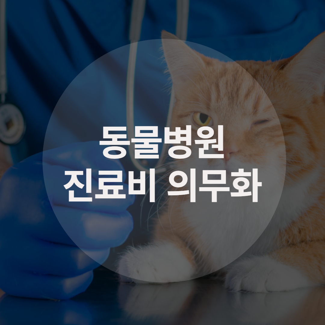  동물병원 진료비 의무화, 5일부터 시행