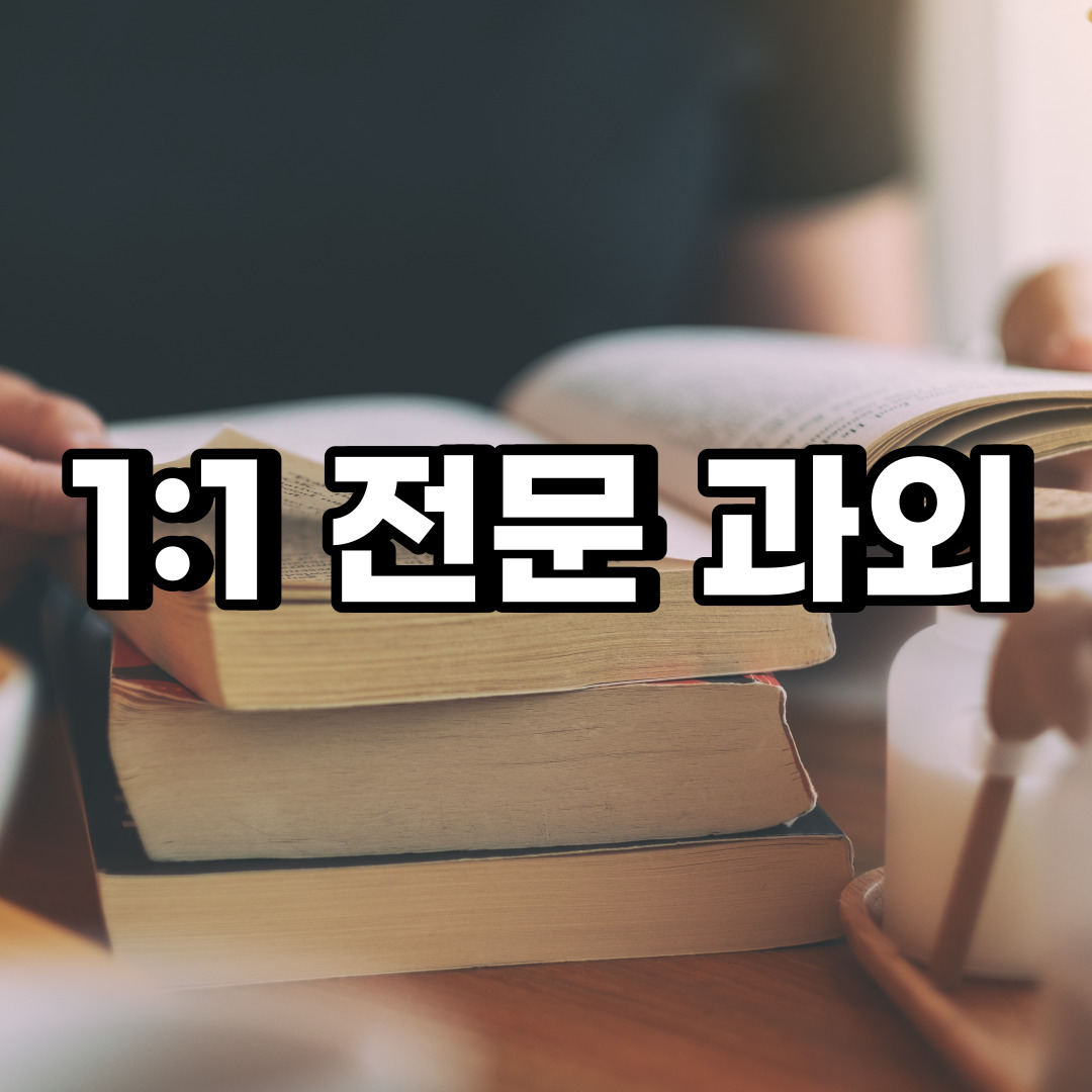 수원 초등 영어과외 성남 의정부 중학생 중등 고등 국어 수학과외