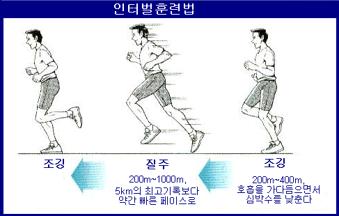  뱃살 빼는데 최고의 운동법