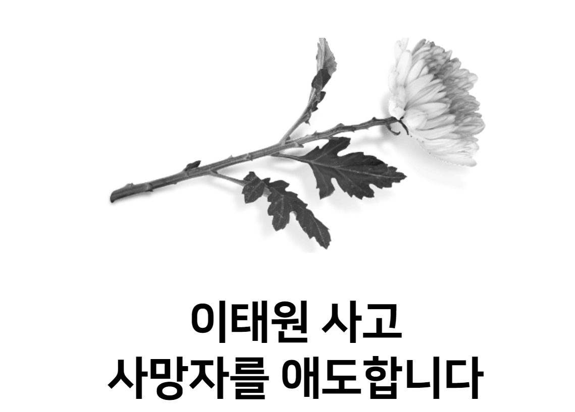  이태원참사 사망자는 장례비 1,500만원 부상자는 실치료비 대납처리  위로금지급한다!