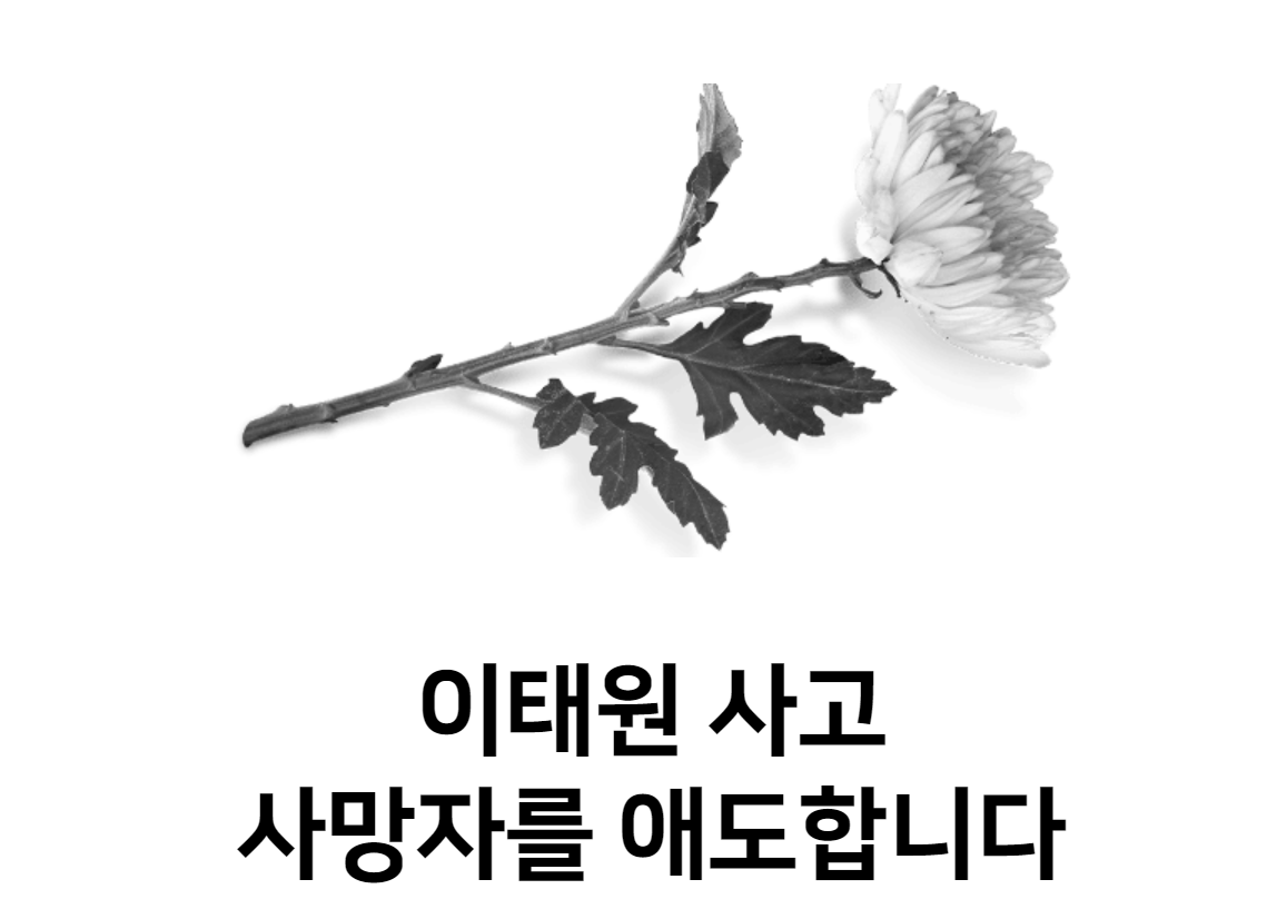 이태원참사 사망자는 장례비 1,500만원 부상자는 실치료비 대납처리  위로금지급한다!