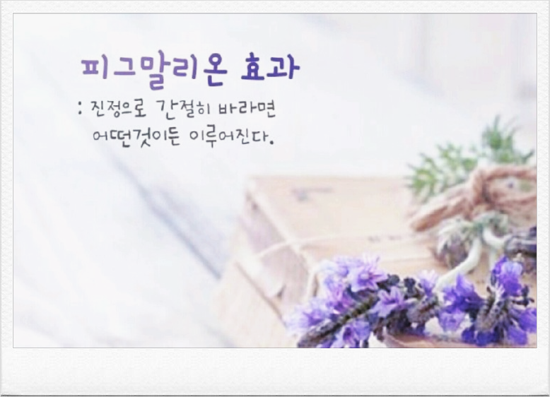  1. 피그말리온 효과(Pygmalion Effect)