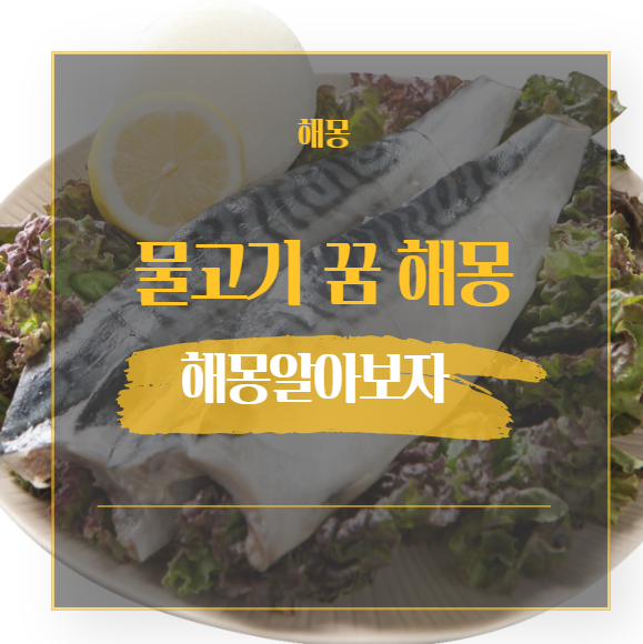  물고기 꿈 해몽 정리 22가지