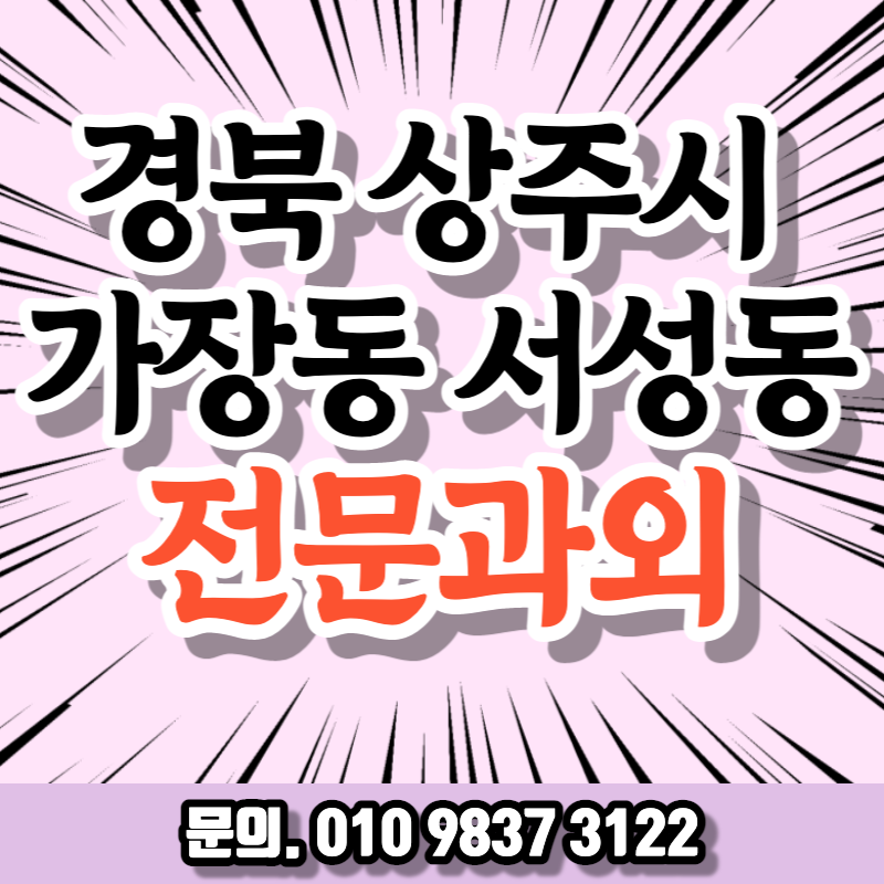  경북 상주시 직장인 영어과외 서성동 취업준비 중국어 오픽 기초일본어 비즈니스회화