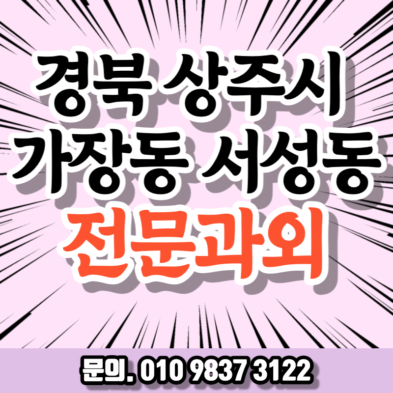 경북 상주시 직장인 영어과외 서성동 취업준비 중국어 오픽 기초일본어 비즈니스회화