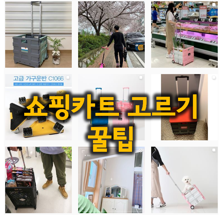  알뜰 쇼핑 파트너. 쇼핑용 핸드카트 어떤 종류를 골라야하나?