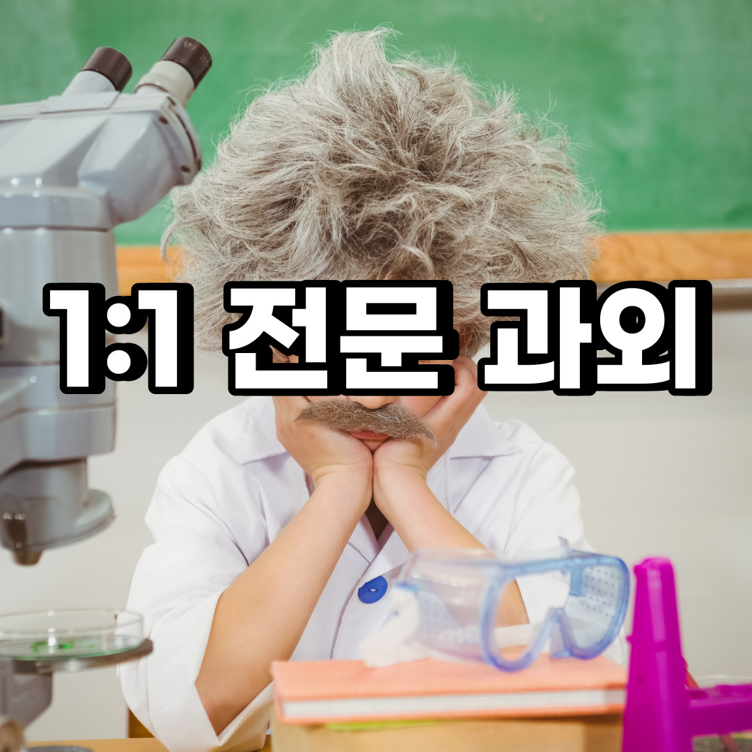 동대문구 초등학생 영어과외 신설동 용두동  중학생 고등학생 국어 수학과외 검정고시