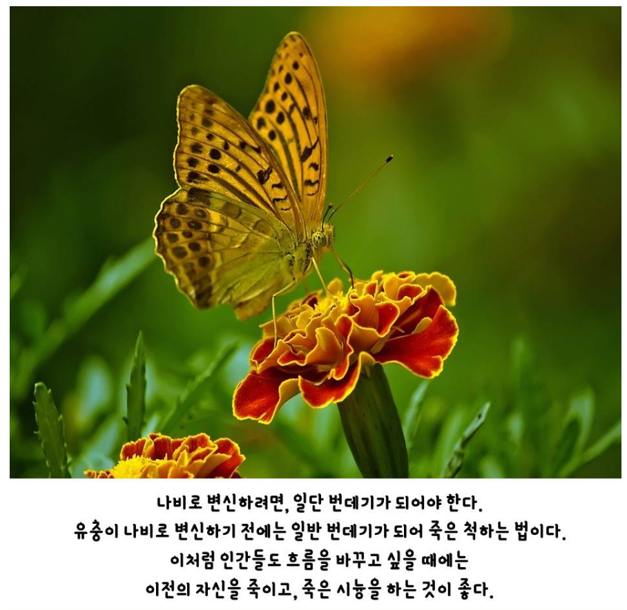  347번째 선물 - 낮아져야 할 때