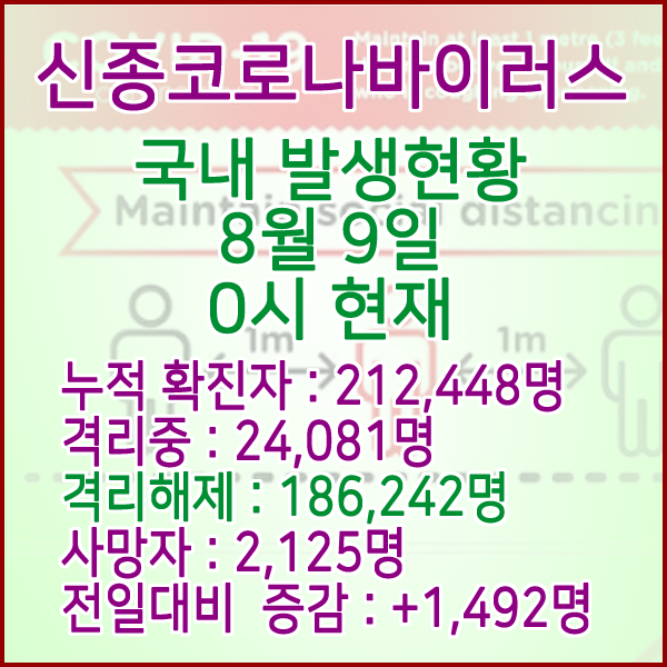  코로나19(코로나바이러스) 8월 09일 0시 국내(해외포함) 발병 212,448명 / 186,242명 완치 격리해제 / 사망자 2,125명